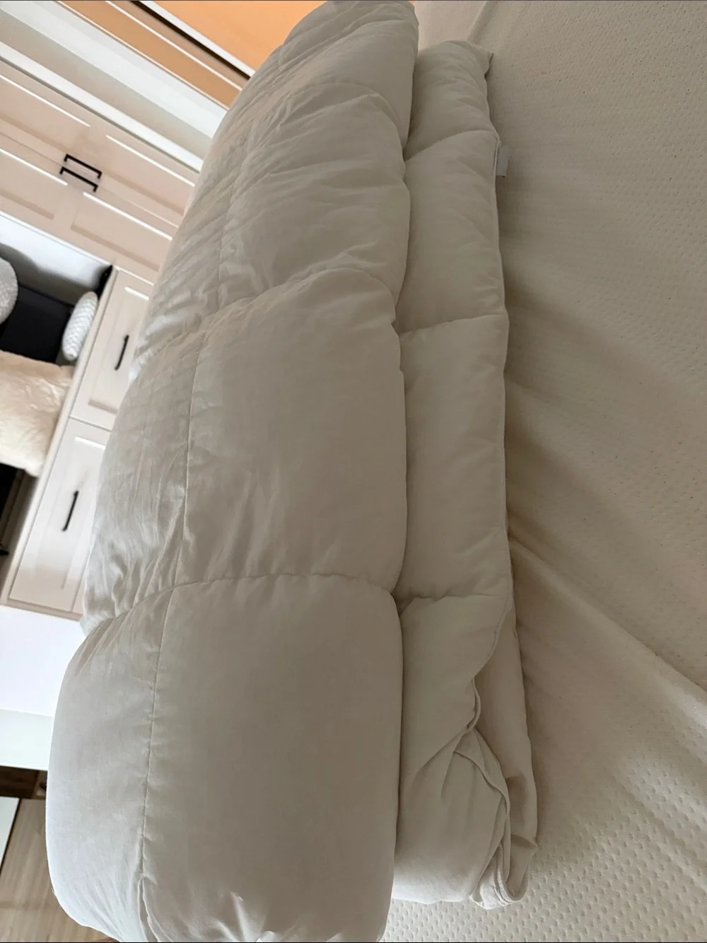 Parachute Down Alternative Comforter (Duvet Insert)